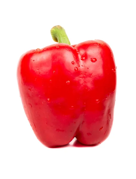 Φρέσκο κόκκινο πιπέρι — Φωτογραφία Αρχείου