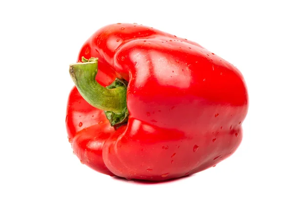 Свежий красный перец — стоковое фото