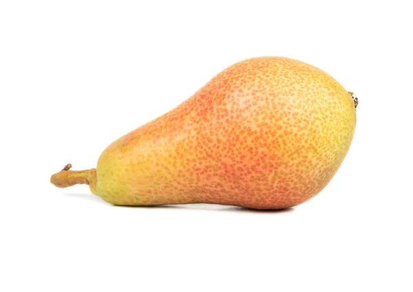 Čerstvé ovoce hruška — Stock fotografie
