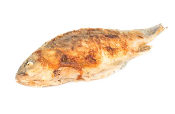 Fried crucian carp isolate — Stock Photo, Image