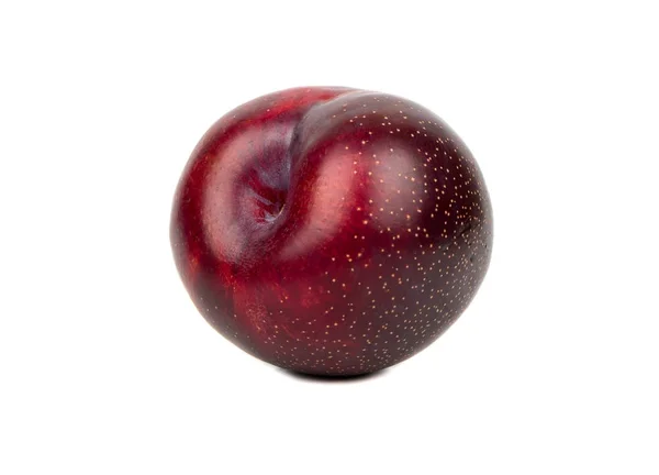 Grande prune rouge — Photo