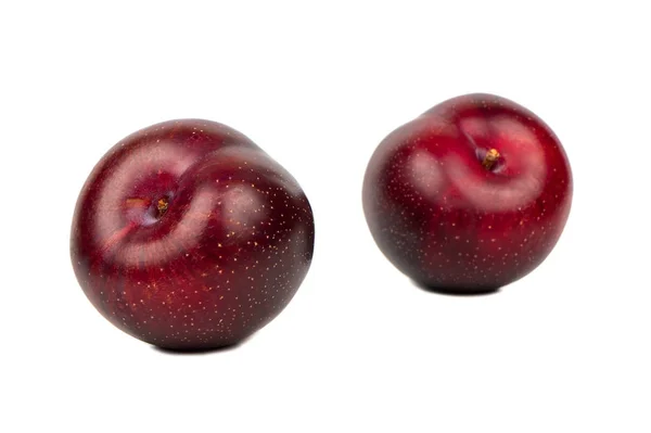 Due grandi prugne rosse — Foto Stock