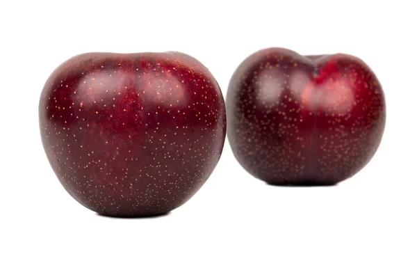 Two large red plums — Stock Photo, Image