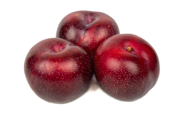 Trois grosses prunes rouges — Photo