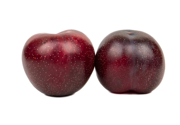 Dos grandes ciruelas rojas — Foto de Stock