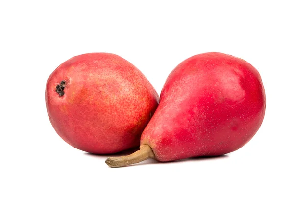 Two red pears — Stock Photo, Image