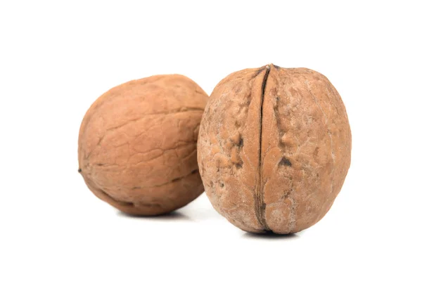 Dos nueces — Foto de Stock