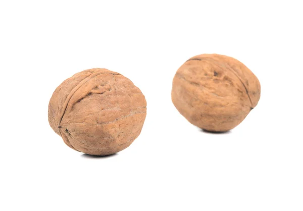 Два грецких ореха — стоковое фото