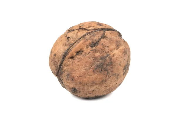 Dirty walnut — Stock Photo, Image