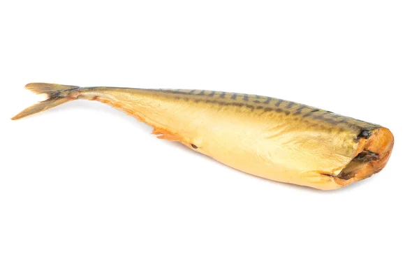 Smoked mackerel without head — Stock Photo, Image