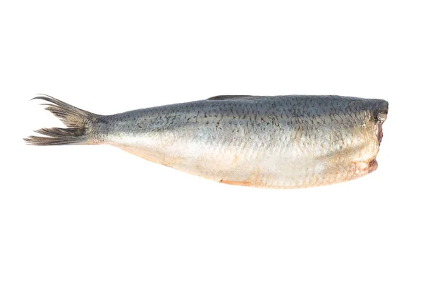 Salted herring — Stock Photo, Image