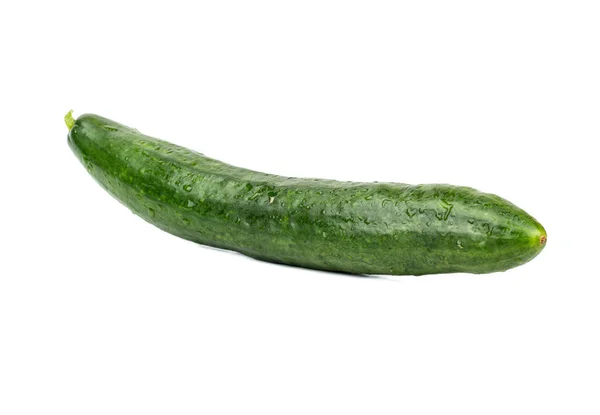 Big green cucumber — Stock Photo, Image