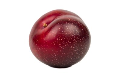 Big red plum clipart