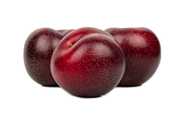 Trois prunes rouges — Photo