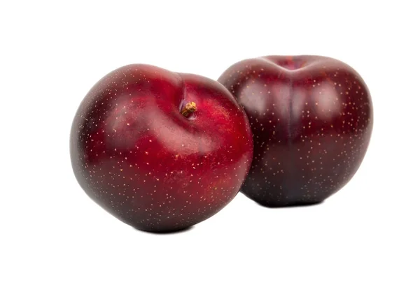 Deux grosses prunes rouges — Photo