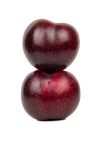 Deux grosses prunes rouges — Photo