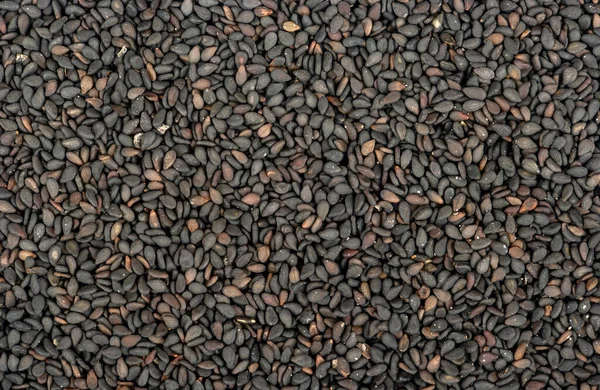 Ziarna sezamu czarnego — Zdjęcie stockowe