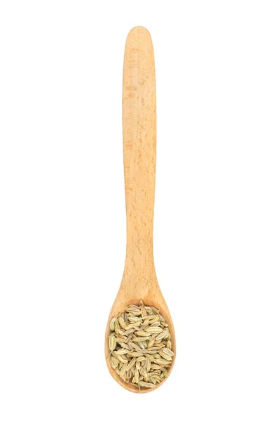 Dry fennel in spoon — Stock Photo, Image