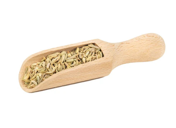 Dry fennel in scoop — Stock Photo, Image