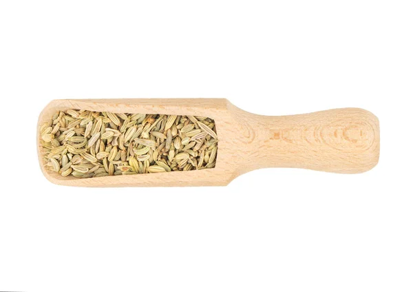 Dry fennel in scoop — Stock Photo, Image