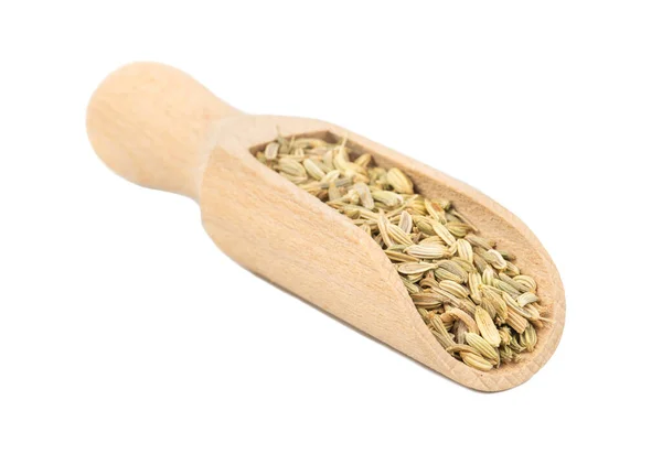 Dry fennel in scoop — Stock Photo, Image