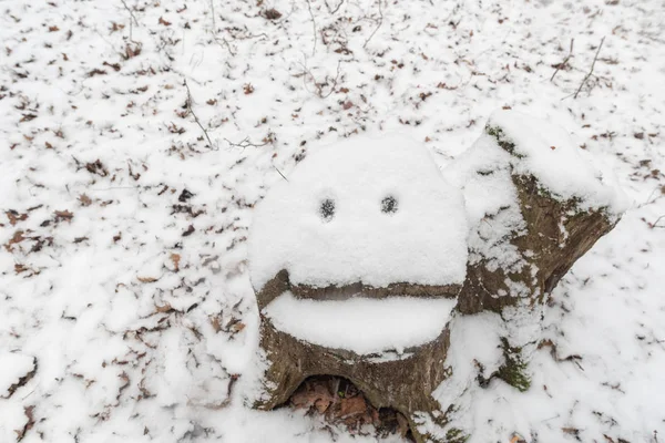 Baumstamm Mit Lächeln Vom Schnee Bedeckt — Stockfoto