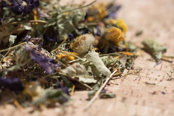 Dried Medical Herb Tea — Stock Photo, Image