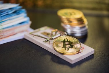 Fare kapanındaki bitcoin kavramı. Yatırım riskleri ve tehlikeleri