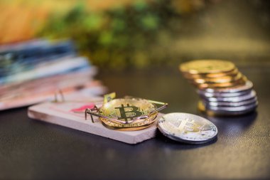 Fare kapanındaki bitcoin kavramı. Yatırım riskleri ve tehlikeleri