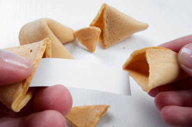 Tavsiyeleri, motivasyon ilkeleri ve kopya için boş alanı olan şans kurabiyeleri ellerinde