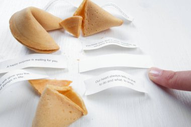 Tavsiyeli şans kurabiyeleri, motivasyon ilkeleri ve kopya için boş alan