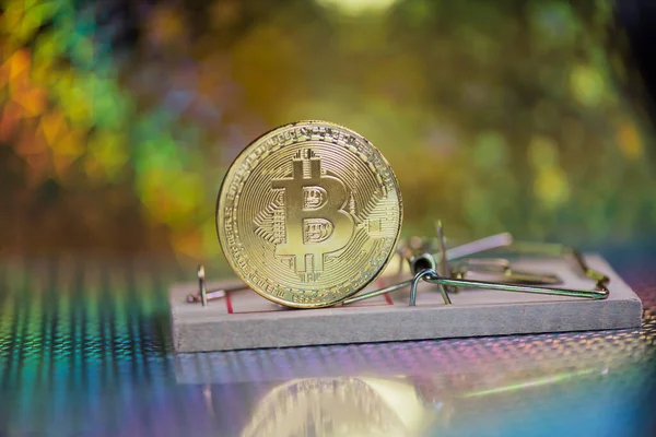 Fare kapanındaki bitcoin kavramı. Yatırım riskleri ve tehlikeleri
