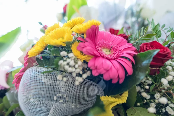 Färgglada Skönhet Säsongsblommor Blommor — Stockfoto