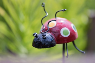 Tapılası doğal hayvanlarla bağlantı kavramı