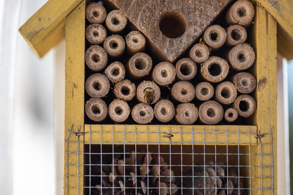 Bug hotel. Rent-free. Concept of connection with adorable natural animals