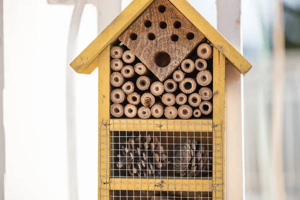 Bug hotel. Rent-free. Concept of connection with adorable natural animals
