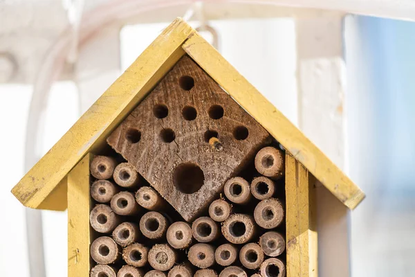 Bug hotel. Rent-free. Concept of connection with adorable natural animals