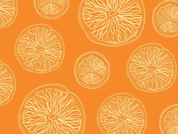 Bosquejo de cítricos en rodajas sobre fondo naranja composición rectangular — Archivo Imágenes Vectoriales