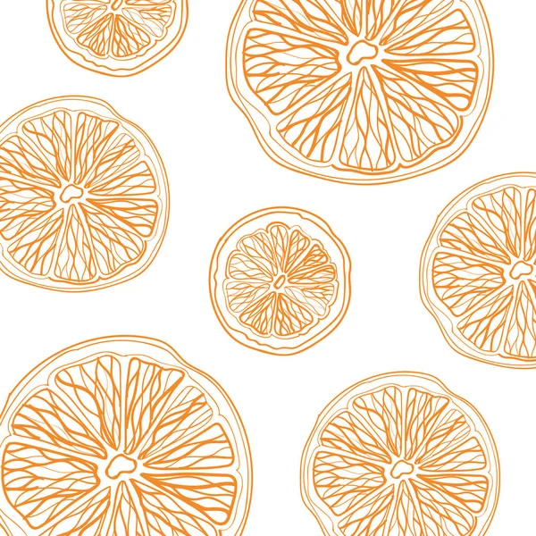 Skizze von in Scheiben geschnittenen Zitrusfrüchten auf weißem Hintergrund quadratische Komposition — Stockvektor