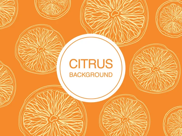 Bosquejo de frutas cítricas sobre fondo naranja composición rectangular — Vector de stock