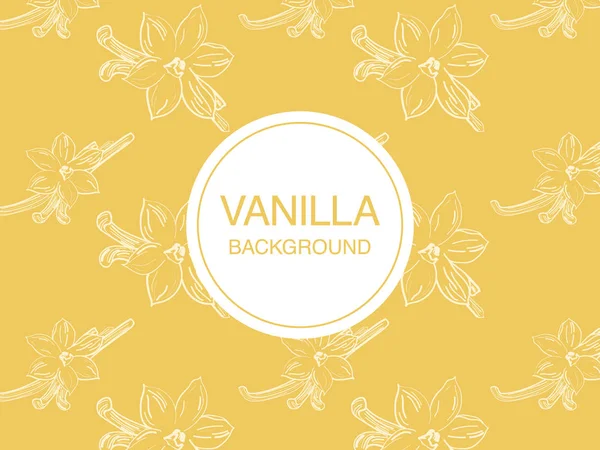 Vanilya çiçek kroki üzerinde açık sarı arka plan dikdörtgen kompozisyon — Stok Vektör