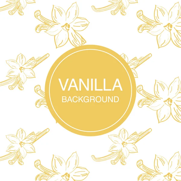 Croquis de fleurs de vanille sur fond blanc composition carrée — Image vectorielle