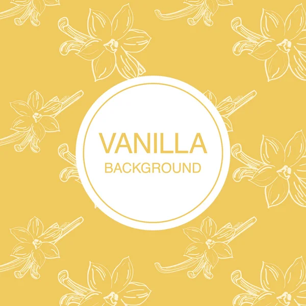 Vanilya çiçek kroki üzerinde açık sarı arka plan kare kompozisyon — Stok Vektör