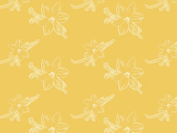 Bosquejo de flor de vainilla sobre fondo amarillo claro composición rectangular — Archivo Imágenes Vectoriales