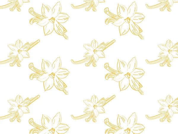 Croquis de fleur de vanille sur fond blanc composition rectangulaire — Image vectorielle