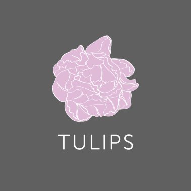 Lale çiçek anahat kroki v.2