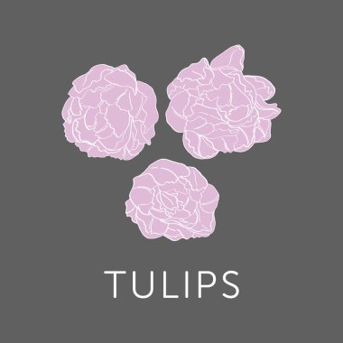 Lale çiçek buketi anahat kroki