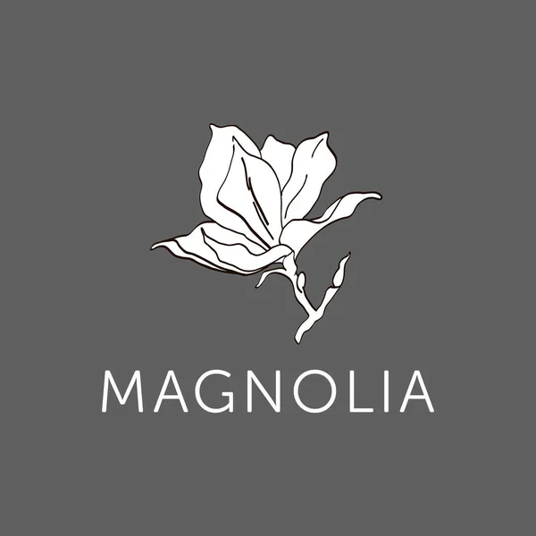 Bunga Magnolia Garis luar sketsa v.3 - Stok Vektor