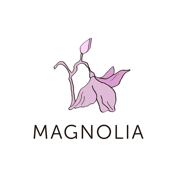 Sketsa garis besar bunga Magnolia berwarna merah muda v.5 - Stok Vektor