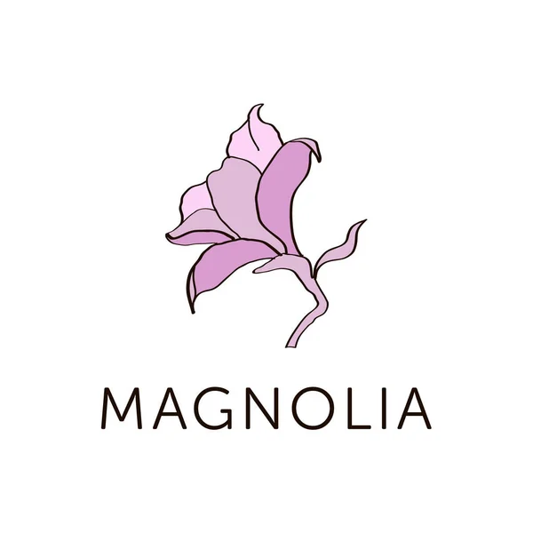 Magnolia blomma principskiss färgade i rosa v.1 — Stock vektor